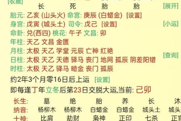 丙戌年生人：火犬命的个性与成就探秘