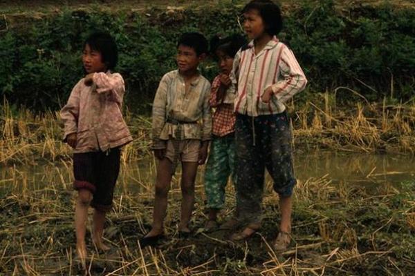 1995年8月11日，命运交错的一天：影像与记忆的碰撞