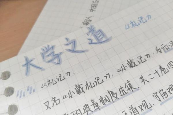 沙中士：命名法的奥秘与选择之道