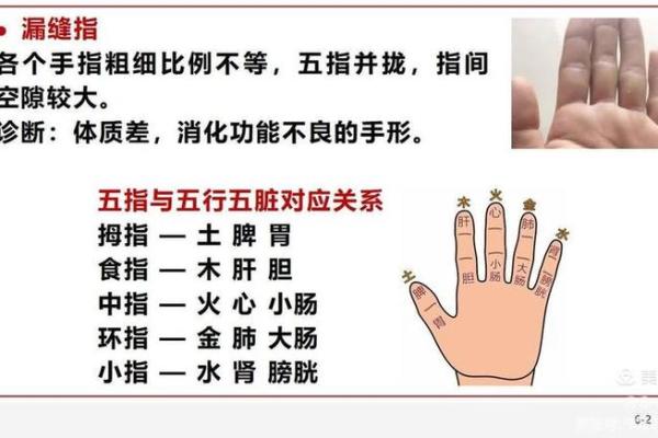 指间秘密：中指长食指短，命运真的有所不同吗？