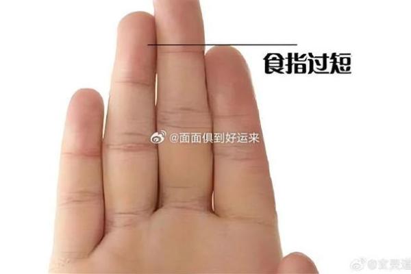 指间秘密：中指长食指短，命运真的有所不同吗？