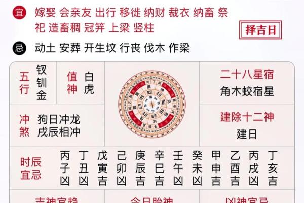 探秘2019年11月出生的孩子命理与运势