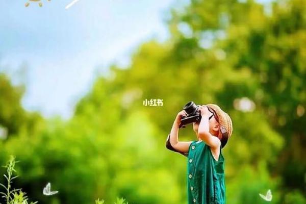 2018年出生的娃命运解析：如何为他们的美好未来铺路