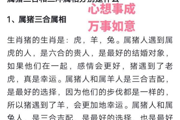 1959属猪女性的命运解析：智慧与幸福的完美结合