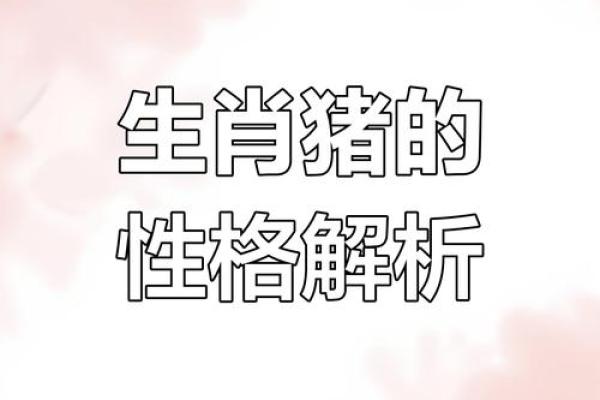 猪年出生宝宝的命运解析，探秘他们的性格与未来