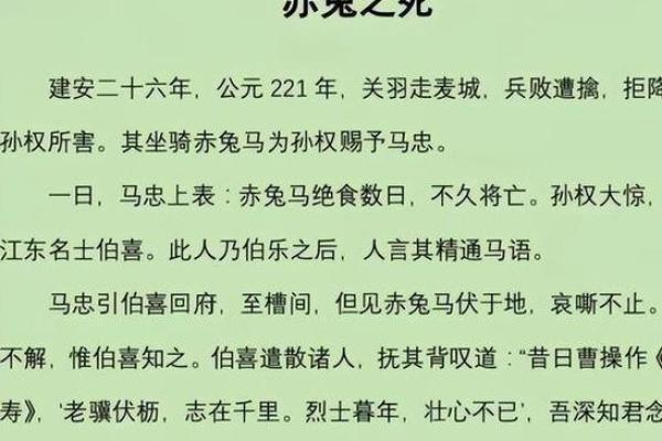 87年兔子命运解析：柔情似水勇者无畏的一生