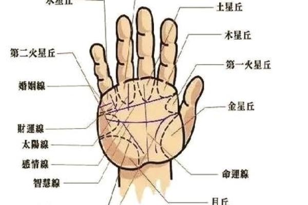 探秘手纹：断掌女子的命运与性格特征