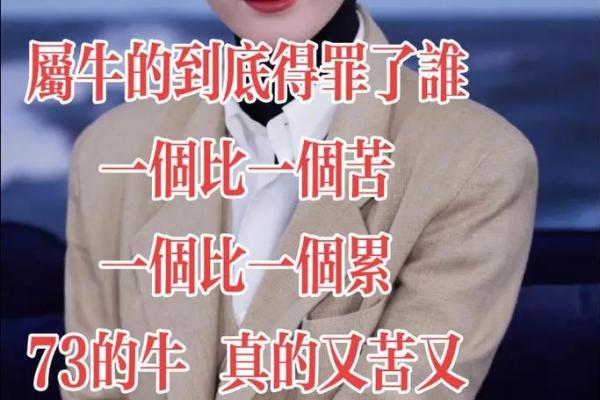 73年老牛的命运：坚韧不拔与不屈精神的真实写照