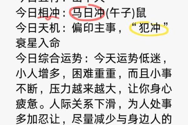 1995年属猪的命人：生活、性格与运势的深度解析