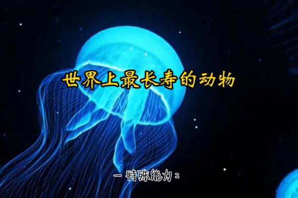 地球上最长寿的动物：揭开海洋深处与极地的神秘面纱