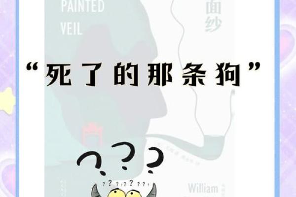 1996年出生的你是什么命？揭开命理的神秘面纱！