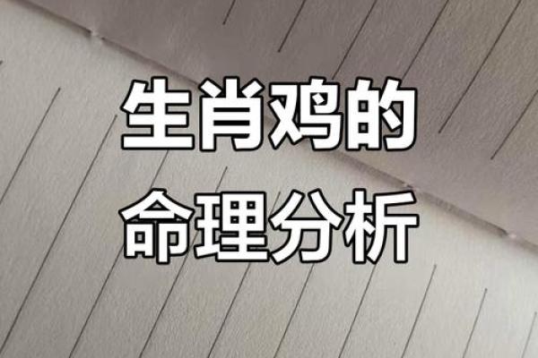 1969年属鸡的人命理解析：深入探讨其个性与命运