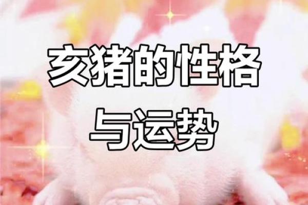 解密1995年属猪人的命运与性格特点