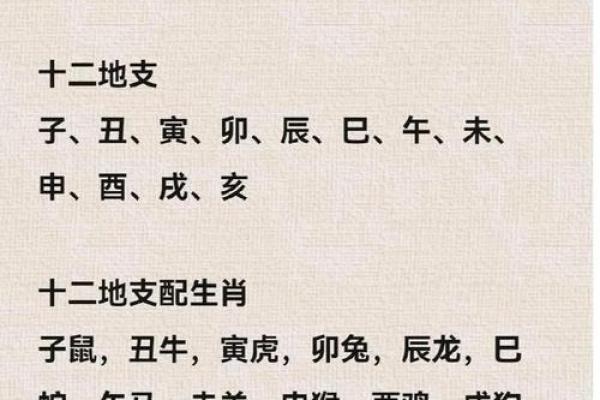 2023年属鼠人的命运与运势详解，如何把握机遇与挑战？