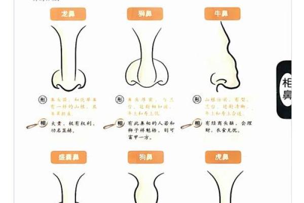 女人鼻子形状与命运：你是否知道这些？