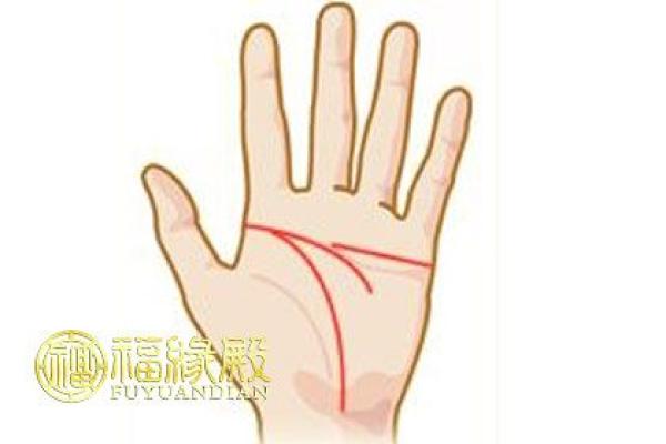 双手假断掌，命运暗示与人生解读