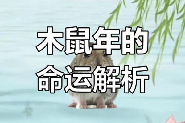 1960年老鼠年：灵巧与智慧的命运探寻