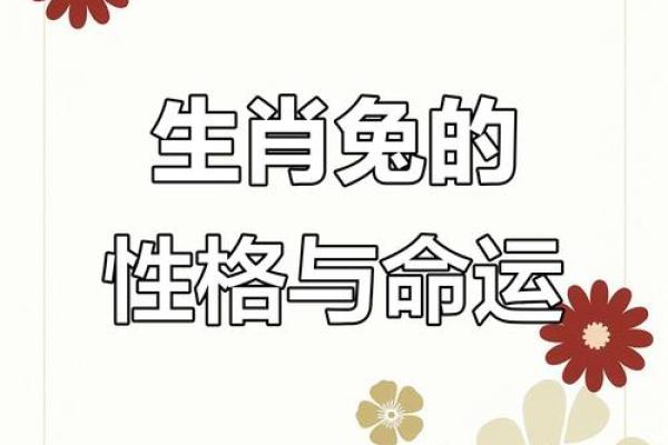 1949年属兔命运解析：了解你的命格与未来机会