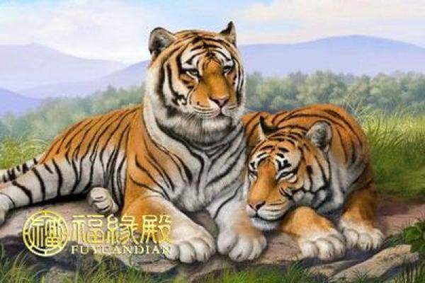 62虎命的幸运色与精神特质揭密