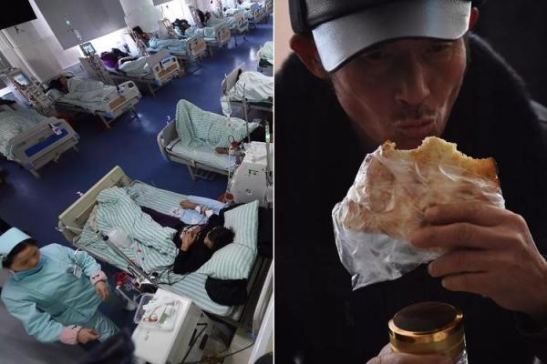 续命：追寻生命的延续与意义的探讨
