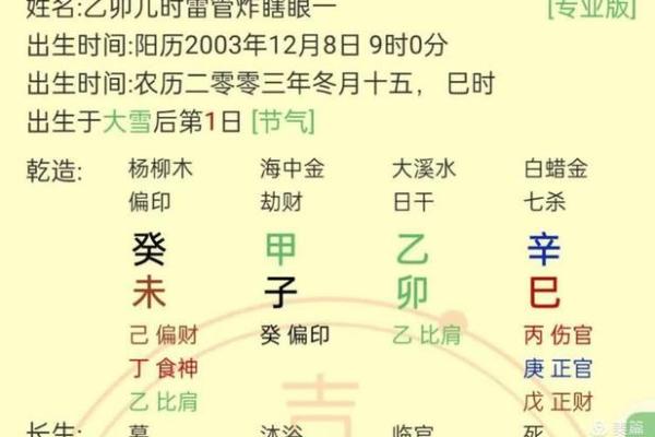 95年乙亥出生的命理解析与生活智慧