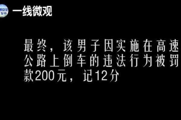 捡了一条命，见了一条命：生活的反思与感悟