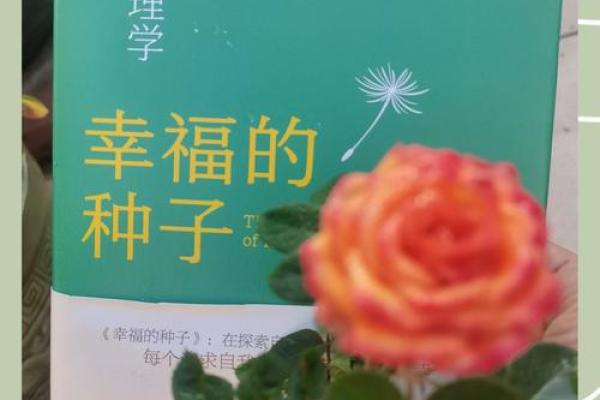 揭开庚子壬午命理的神秘面纱，从命运中找寻幸福的钥匙