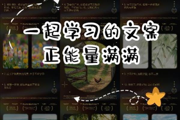 一九六五年出生的人命缺如何调和，立足未来的智慧之路