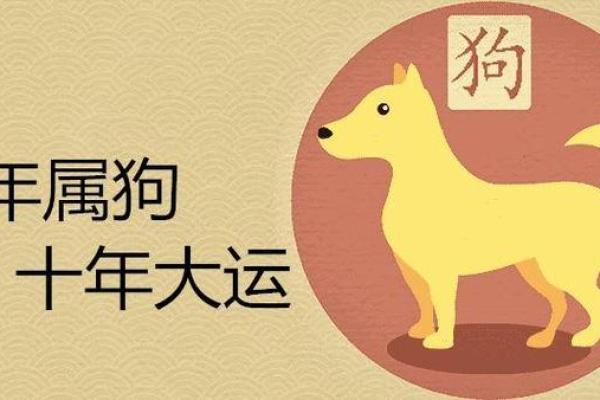 82年狗年的命运与性格解析：你的生肖属性与命理运势