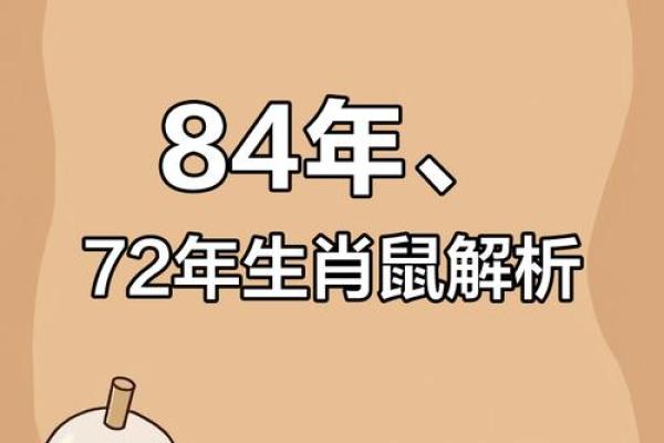 1996年属鼠的命运解析与个人发展建议