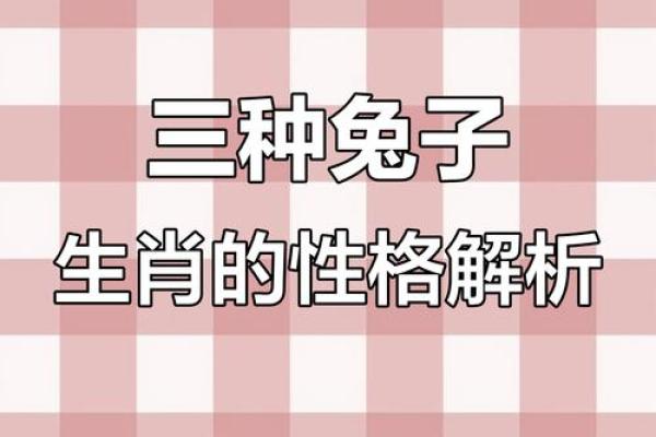 探寻2823年兔年命理：运势与性格的完美契合