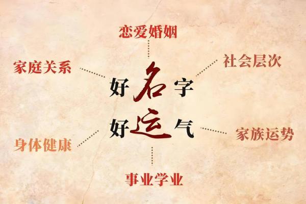 探寻2823年兔年命理：运势与性格的完美契合