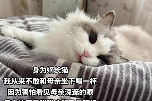 奴才命：从动物寓意看人性的深邃与幽默