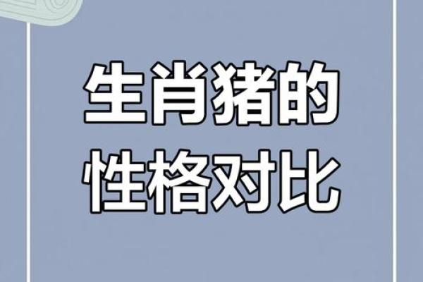 揭示1923年属相的命运之谜：从生肖看人生轨迹与性格特征