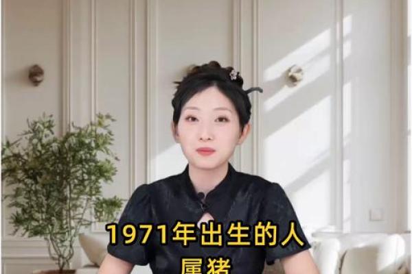 1971年猪年命运解析：探索1971年出生的猪如何迎接人生机遇与挑战