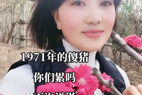1971年猪年命运解析：探索1971年出生的猪如何迎接人生机遇与挑战