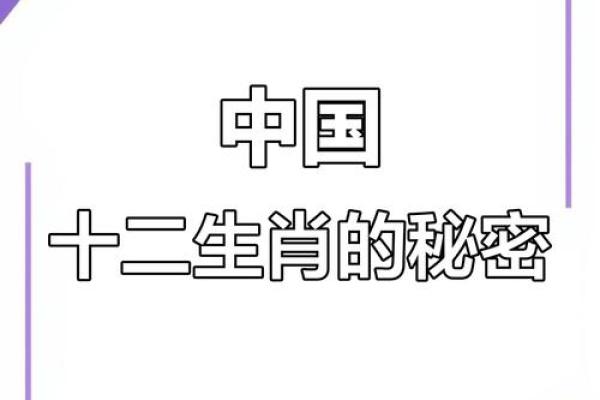 探秘一九一六年出生者的生肖与命运：揭开性格与人生的奥秘