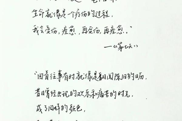 命满的含义与生活中的启示：探索生命的深刻哲理