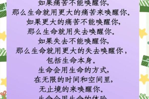 命满的含义与生活中的启示：探索生命的深刻哲理