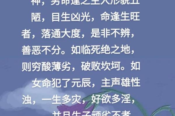 1978年12月出生者的命运与人生探索