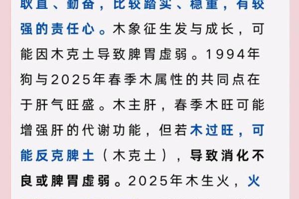 属狗冬天出生的命运解析：寒冬中孕育的忠诚与坚韧