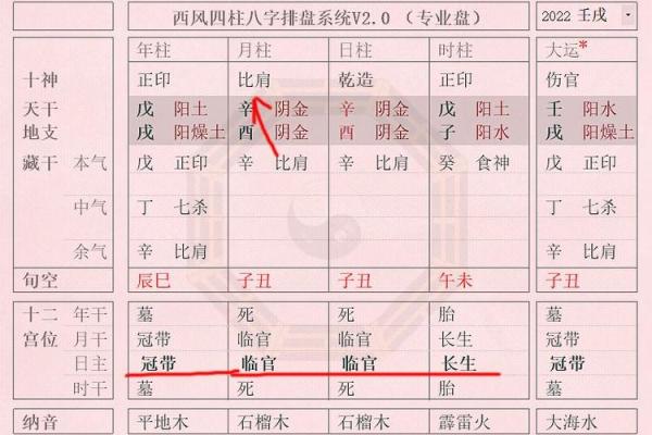 丑时出生的命运解析：1979年生人如何理解自己的个性与人生轨迹