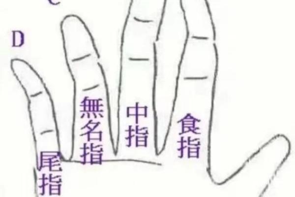 手指中间关节粗大的秘密：揭示命运与性格的奥秘