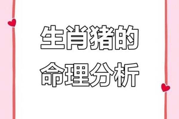 揭秘己巳年出生者的命运特点与运势解析