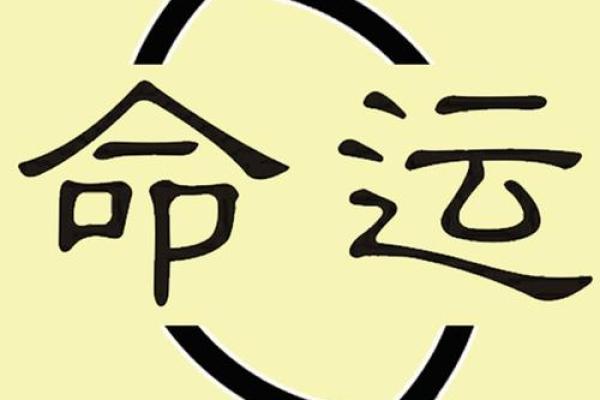 命字的魅力：从命运到命名的深刻探讨