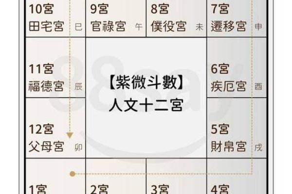 探秘紫薇命盘中的文曲星：命理学中的智慧与魅力