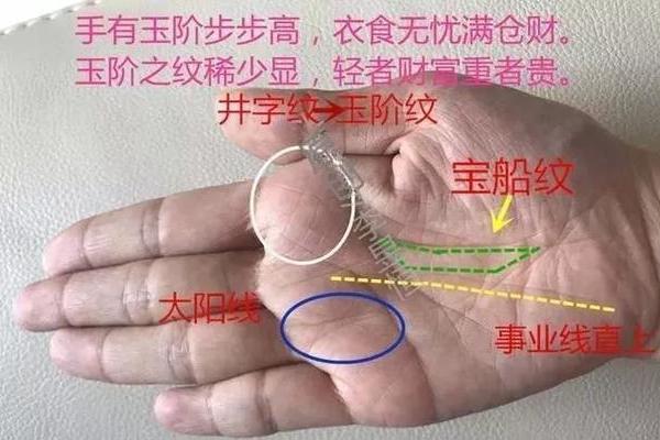 手指背面无纹，命运解读及人生启示