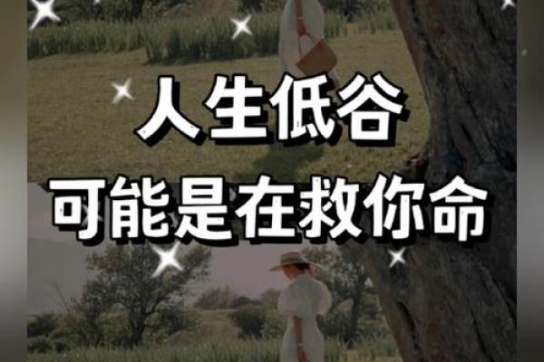 或许这是命：在变幻无常的人生中寻找自我