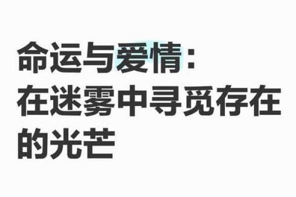 在命运的迷雾中游荡，何去何从？