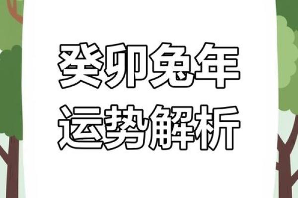 2023年木兔年运势解析：探索兔年下的命理之道与生活智慧